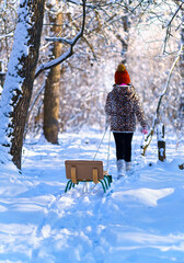 child girl walks with sledge in the winter forest, bright sunlight and shadows on the snow, beautiful nature