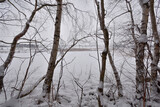 Fototapeta Fototapety z widokami - Zimowy pejzaż