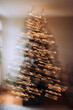 © Melanie DeFazio Photography/Stocksy - Christmas tree