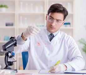 Wall Mural - Expert criminologist working in the lab for evidence