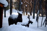 Fototapeta Uliczki - snow covered trees