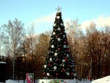 Fototapeta Uliczki - christmas tree with presents