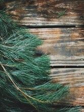 Natural Green Pine Needles On A Wooden Background With Copyspace