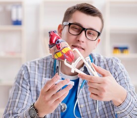 Wall Mural - Medical student studying heart in classroom during lecture