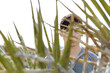 © Melanie Riccardi Photography/Stocksy - Man hiding behind a palm