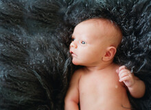 Newborn Baby Nude On A Gray Fur Background