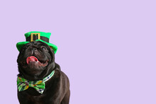 Cute Dog With Green Hat And Bowtie On Color Background. St. Patrick's Day Celebration