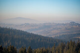 Fototapeta Do pokoju - Babia Góra Mount seen from Bukowina Tatrzańska, Poland. Smog is covering the hills and filling cold winter air. Selective focus on the forest, blurred background.