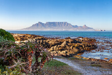 Table Mountain In Cape Town South Africa Scenic View From Blouberg In Summer With Blue Sky And Aloe In Foreground