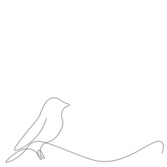 Bird line drawing, vector illustration