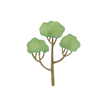 Watercolor Drawing Of A Tree Isolated On White Background.