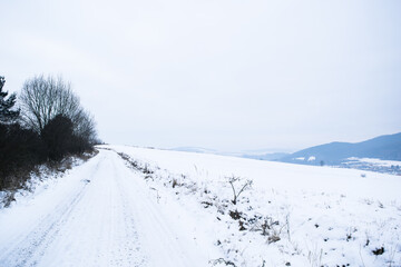 Wall Mural - Snowy road on a hill