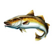 Alaska Pollock, Mintai fish jumping out of water illustration isolate realistic.