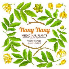 Canvas Print - ylang ylang elements vector set