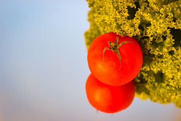 Lettuce leaves and tomatoes illuminated by sunlight