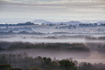 Wall Mural - Hunter Valley Fog at Sunrise in Australia