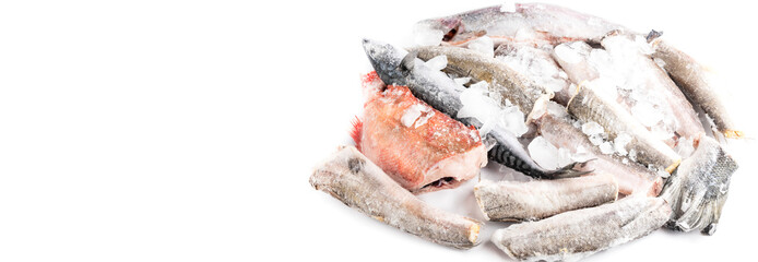 Wall Mural - variety of frozen sea sustainable food in ice cubes