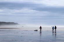 People Walking On Shore At Beach Against Sky