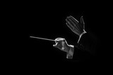 Fototapeta  - Hands of a conductor of a symphony orchestra close-up in black and white