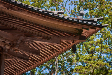 Poster - Low angle shot of Buddhist temple roof details surrounded by trees