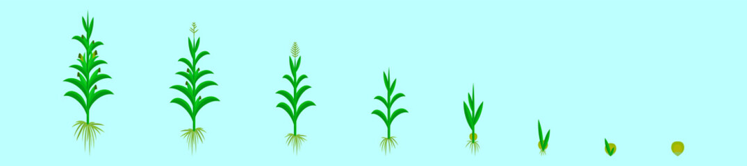 set of grow up corn cartoon icon design template with various models. vector illustration isolated on blue background