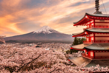 Fototapete - Fujiyoshida, Japan at Chureito Pagoda and Mt. Fuji in the Spring