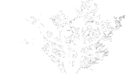Winter tree silhouette.

Outline of a tree is drawn then filled in with black.
