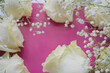   white  roses and  gypsophila  on a   pink   background.  gentle floral arrangement. 