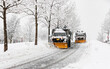 © Lenzation Studio - snow plowing machine in suburban neighborhood during northeastern storm nor'easter