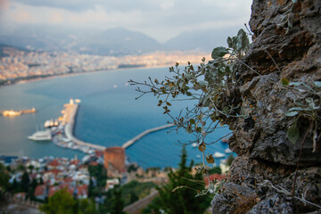 Wall Mural - view of the city