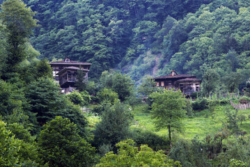 A photo of wooden houses that are positioned on the foothill of the forested mountain under the cloudy sky.  Living in the countryside of Turkey, especially in Black Sea region, is so relaxing because