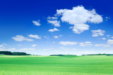 Wall Mural - idyllic view, green field and the blue sky with white clouds