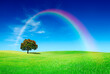Idyllic view, lonely tree with rainbow on green field