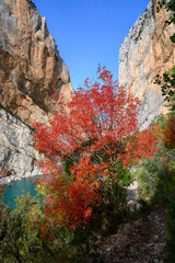 Sticker - l'automne dans la sierra de montsec