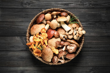 Different fresh wild mushrooms in wicker bowl on black wooden table, top view