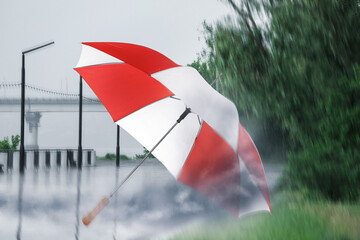 Wall Mural - Open umbrella blown by wind gust outdoors