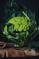 Wall Mural - Raw fresh green cauliflower from Puglia