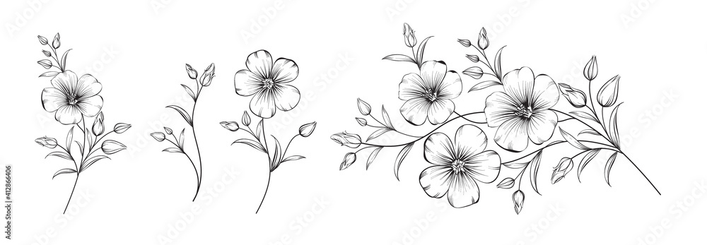 Set of differents flower linen on white background. - obrazy, fototapety, plakaty 