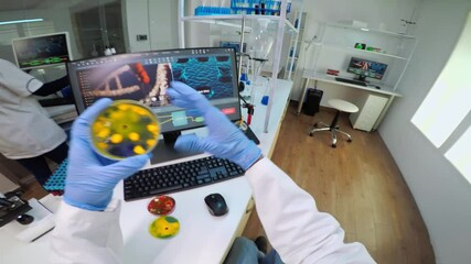 Wall Mural - pov of chemist analysing bacteria culture from petri dish typing results in pc. team of doctors exam