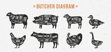 Butcher Diagram, Scheme Set. Mutton, Lamb, Pork, Duck, Chicken, Turkey, Goose Meat Cuts. Cuts Of Meat Set For Butchery, Meat Shop, Restaurant, Grocery Store. Vector Illustration