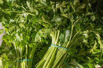 Bunches of fresh parsley. Appetizing background texture of leafy vegetables. Bunches of fresh parsley on market