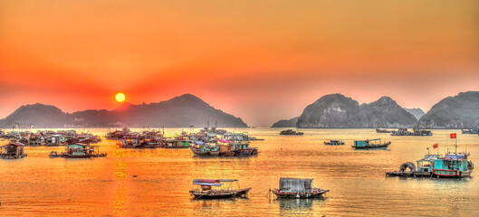 Wall Mural - Cat Ba Island, Vietnam, HDR Image