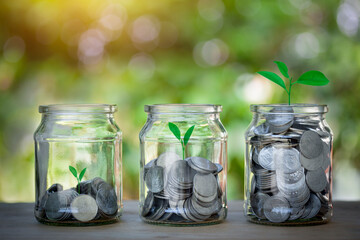 Wall Mural - Glasses of jar with coins and plant growing up to show step to keep money, first, second and third. How to save, education, home, loan and investment concept.