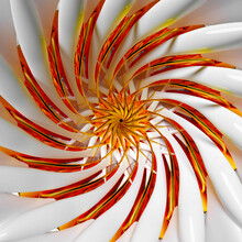 3d Render Of Abstract Art With Surreal 3d Sun Flower Or Indian Mandala Symbol In Spherical Spiral Twisted Shape With Fractal Structure In White Glossy Ceramic With Orange And Red Metal Parts
