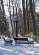 Snow-covered benches and vintage street light in the park. Sunny winter morning