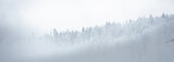 Fototapeta  - Góry w mglisty dzień