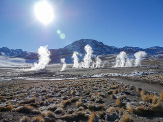 Geyser del Tatio, Atacama Desert, Chile : Geyser in the morning erupting activity in the Geysers del Tatio field in the Atacama Desert, Chile.