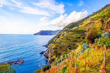 Landscape of mountain coast field from Vernazza, cinque terre in Italy