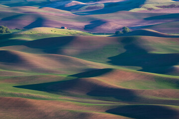  Shadows across the hills in the setting sun highlight the beauty of the agricultural region of the Palouse in Washington State neat the Idaho border