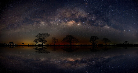 Panorama silhouette tree in africa with stars reflection on water.Typical african dark night with acacia trees in Masai Mara, Kenya.Space background with noise and grain.